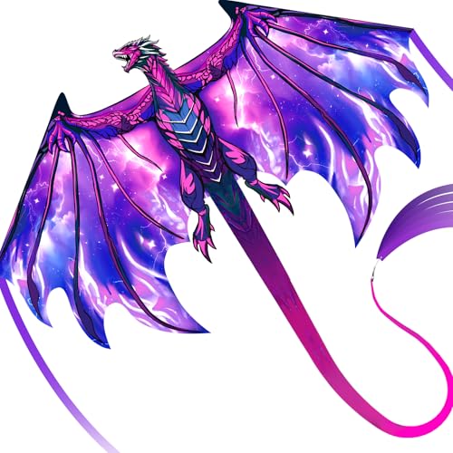 SGftre Complete Kite with Handle, Line & Accessories,Easy to Fly for Kids & Adults, Perfect for Beach, Park, Family Outdoor Activities (Speed Dragon...