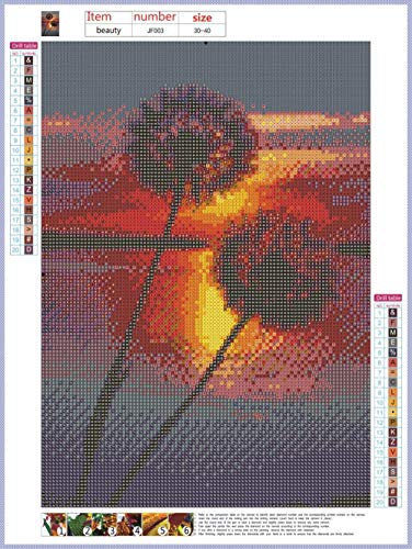 Square diamond painting 5D fai da te con i numeri