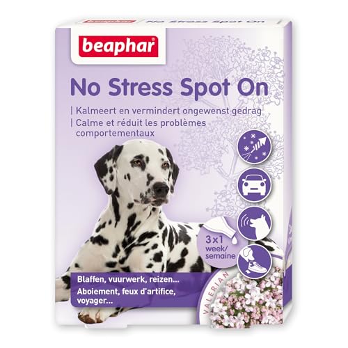 Beaphar 13902 No Stress Spot On Dog 3 Pipetten - Hilft bei stressigen Situationen wie Feuerwerk oder Gewitter - Ohne zu benommen - Mit natürlichen Kräutern - Jede Pipette ist eine Woche lang wirksam