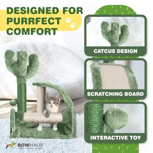 BOWHAUS Cactus Cat Tower 20-Inch para gatos miniatura 3