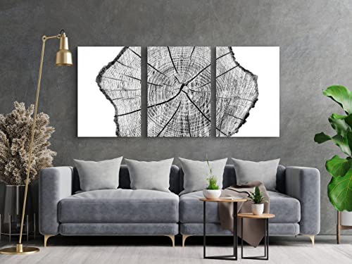 Gubiyu Black And White Tree Ring Wall Art Framed Canvas Tree Ring Art Print Set Of 3 Modern Abstract Forest Tree Wall Decor Nature Illustration Art Minimalism Decorative For Bedroom Office 16"X24" #TOP4