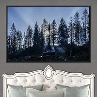 Framed Canvas Wall Art Greenlands Aerial Dark Farmhouse/Country Green Nature Photography Realism Relax/Calm - 16x24 inches