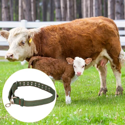 Teror Rinderhalsband, Rinderhalsband Kuhhalsband Verstellbares Halsband für die Viehversorgung(Mittel)