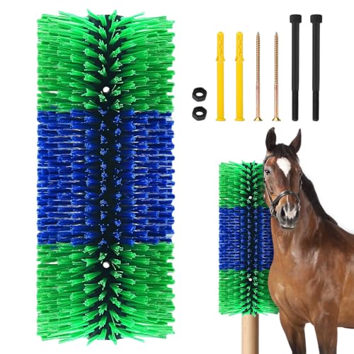 Brosse à gratter universelle pour stopper les démangeaisons