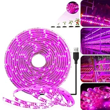 string grow lights for indoor plants that will transform your space 2 string grow lights for indoor plants