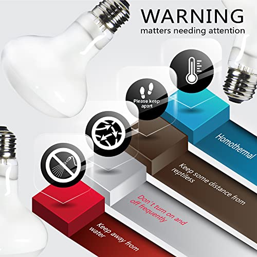 REP BUDDY Pacote com 2 lâmpadas de aquecimento de répteis 75W com termômetro digital aderente para r