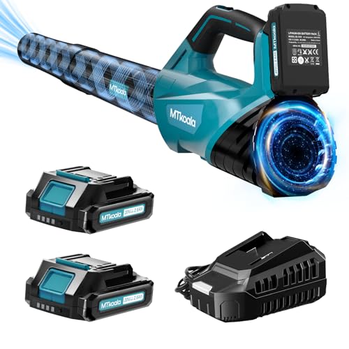 Cordless leaf blower with 2 batteries and fast charger