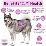 PETSUPLUS Dog Probiotics for gut health. Dog Probiotic Supplements. Pre and Probiotics for Dogs. Support digestive health, rebalance gut microbiome, aid digestion & boost the immune system. 120 Chews - Image 2