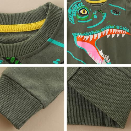 Toddler Boy Sweatshirt Kid Long Sleeve Crewneck Pullover Cotton Tops Cartoon Casual Shirts3