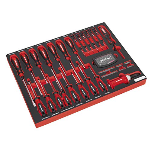 Sealey TBTP04 Tool Tray with Screwdriver Set, 176.5mm x 397mm x 55mm,Silver