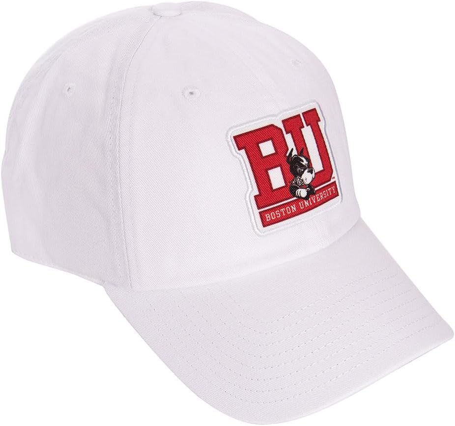 Desert Cactus Boston University Baseball Hat Terriers BU Brimmed Embroidered Hats Cap Adjustable Cloth Strap Adult