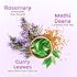 Mamaearth Rosemary Hair Oil with Rosemary & Methi Dana 150ml (5.07 Fl Oz)