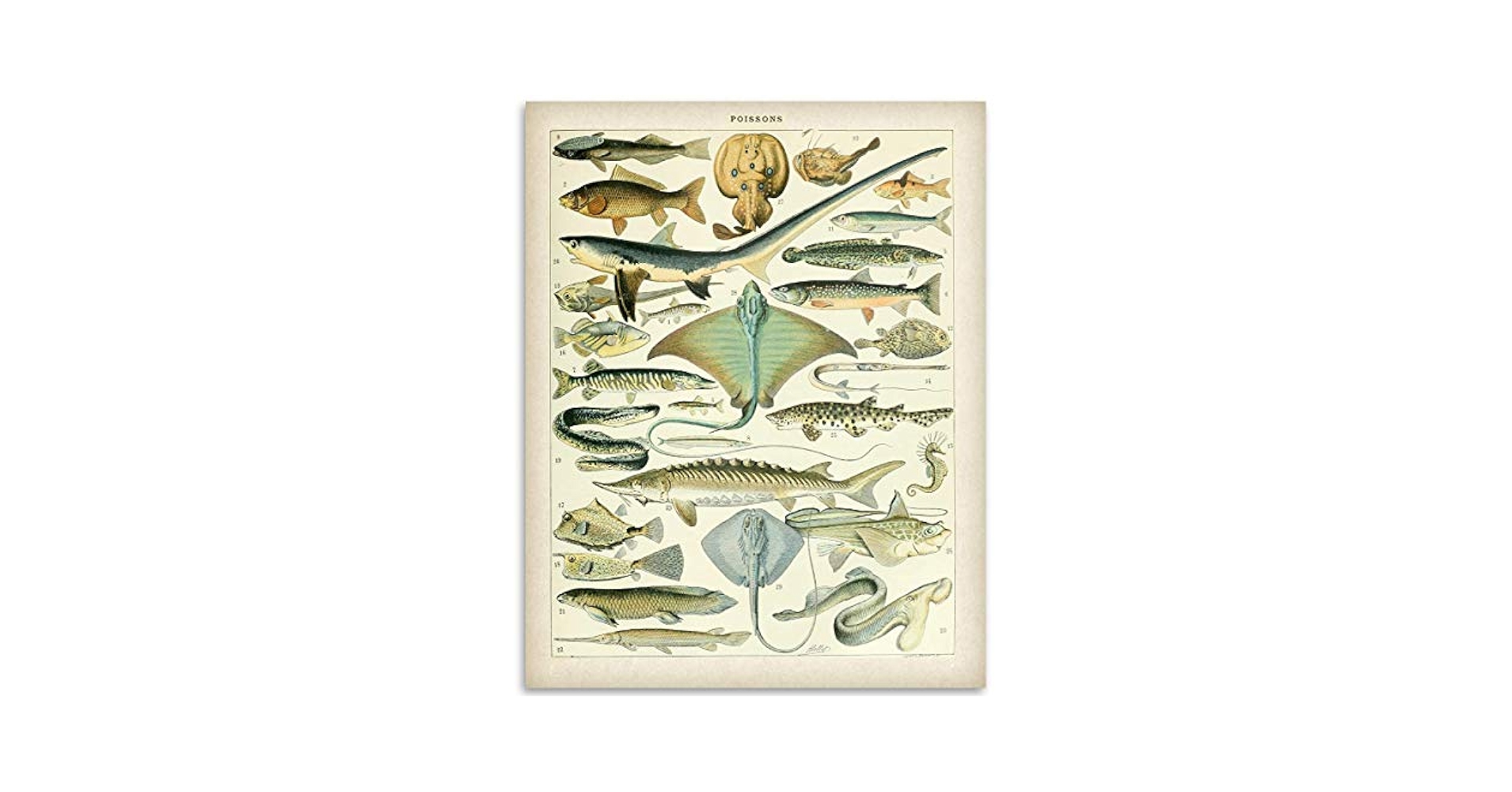 フランスビンテージ壁掛け　セラミックフィッシュ　陶器　魚 フランスビンテージ壁掛け セラミック魚 LES CYCLADES Ceramic