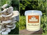 Pilzmännchen