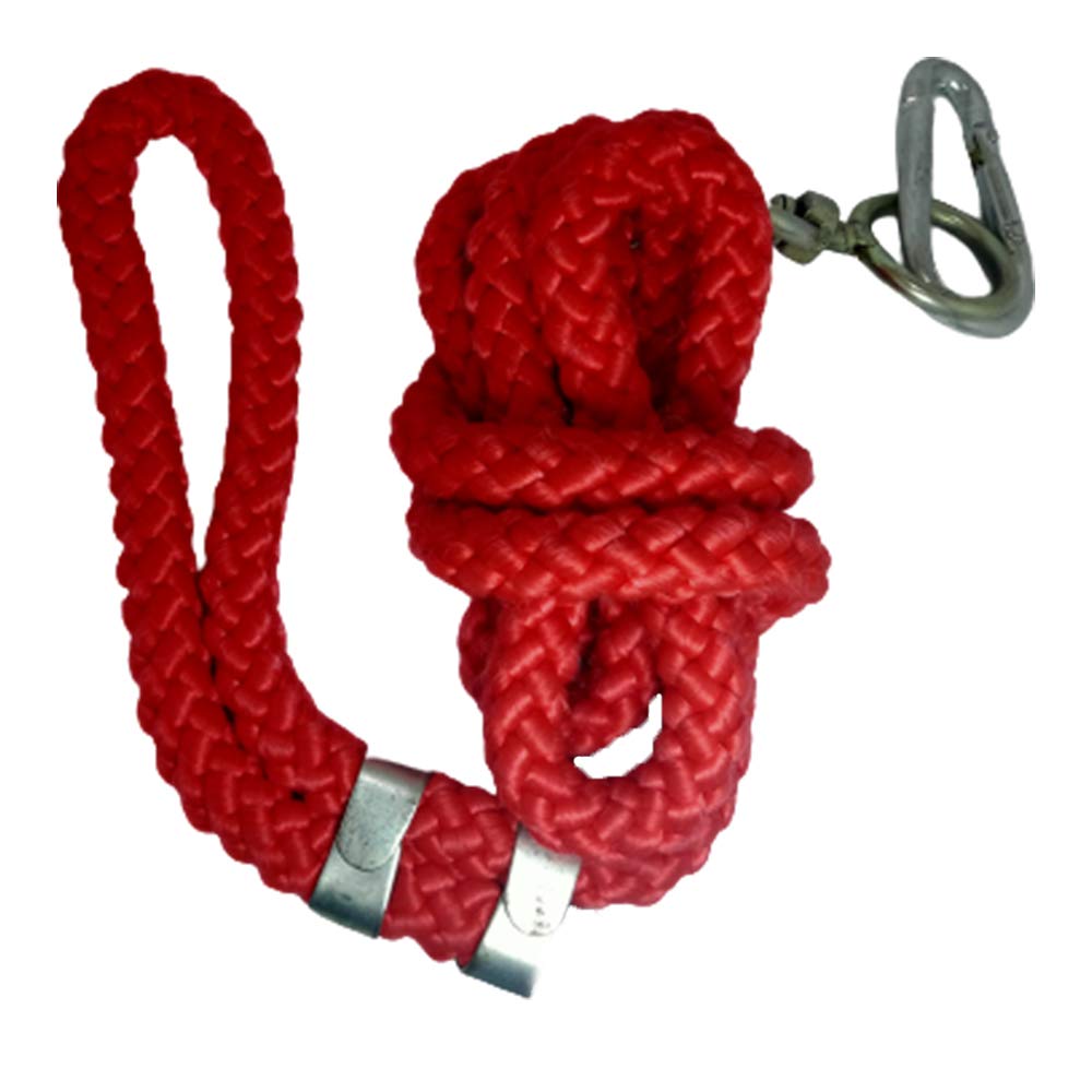 Urban Siyapa Dog Training Leash Training Lead Long Nylon Rope Extra Long Heave Duty Reflective Dog Leash for Small Medium Large Dogs (10 Feet (3 Meter), Red) (B08JMCCTN3) Amazon Price History, Amazon Price Tracker