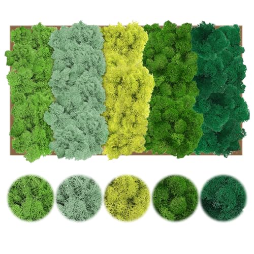 Moos Basildon Island Moos Kaufen – Die 15 besten Produkte im Vergleich - Aquaristik