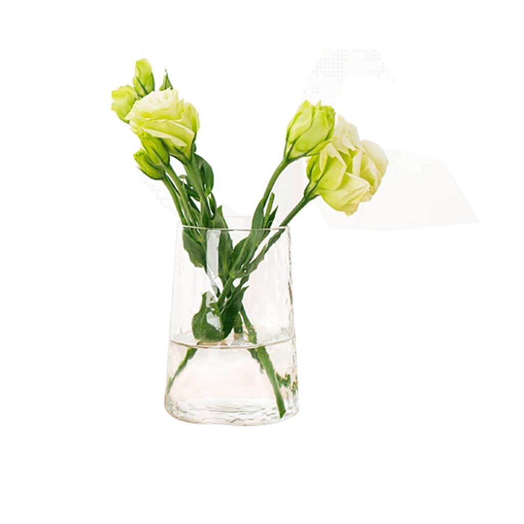 Ngdfgr As Known Vase Glass Flower Vase Small Hydroponics For Home Decor Suitable For Living Room Office Tablelop Centerpiece Glass Plant Vase Minimalism