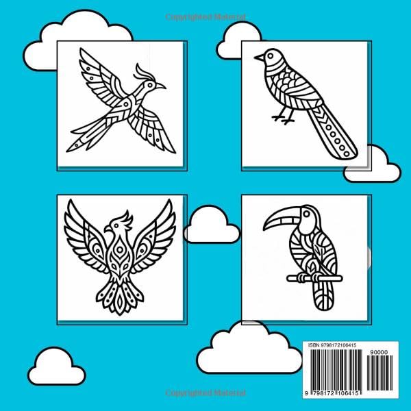 Fly into Focus: Exotic Birds Self-Soothing Coloring Book for Kids Ages 6-10: Help your child find calm, focus, and creative confidence. image 3