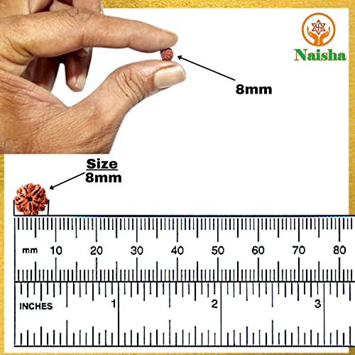 Naisha Natural Rudraksh 251 Piece Loose Rudraksha Mala, Genuine Himalayan Meditation Prayer Beads - Image 2