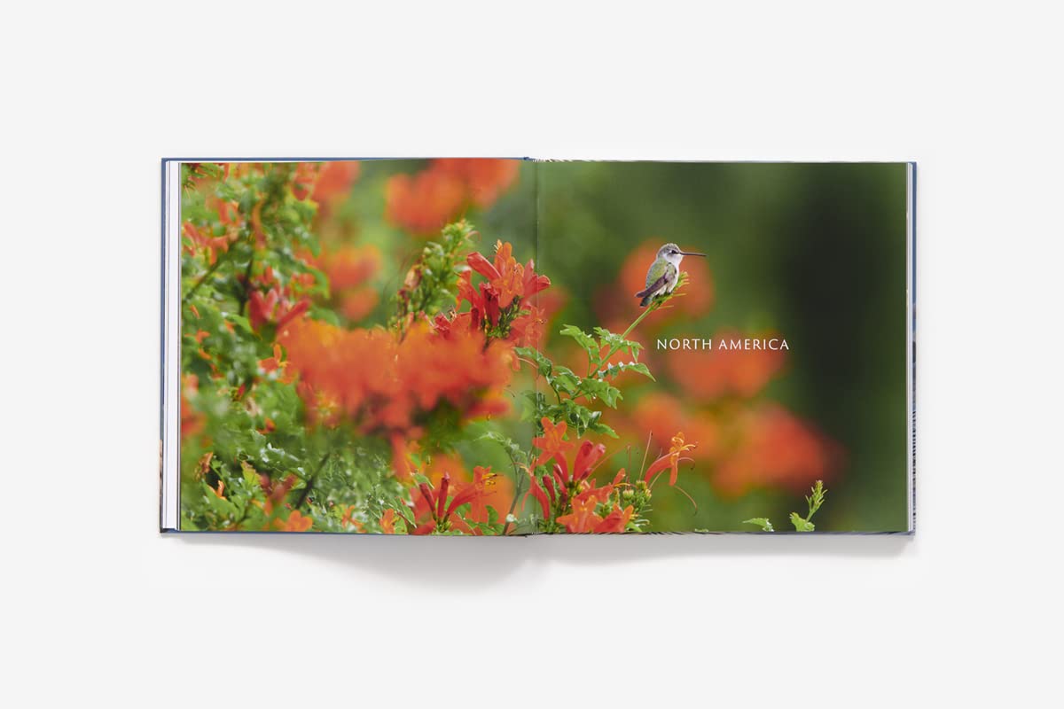 Bird Planet: A Photographic Journey