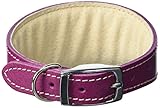 Fuerte y duradero BBD Pet Products Collar Whippet, Talla única, 3/4 x 10 a 12 Pulgadas, Boysenberry