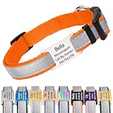 GoTags Reflective Personalized Dog Collar with Nameplate, Adjustable Dog Collar with Custom Engraved Steel Slide On Pet ID Tag, Silent, No Noise Dog Tag 66 Color Options (Reflective, Large)