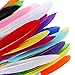 Coceca 240pcs Colorful Goose Feathers 4-6 Inches Natural Feathers for DIY Crafts