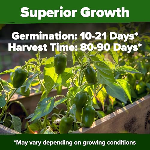 Image of HOME GROWN Jalapeno Pepper Seeds 258+ Heirloom Non-GMO Seeds for Planting, High Germination, Mild to Medium Heat Hot Peppers, Heavy Producer, Perfect for Salsa & Pickling (Capsicum annuum)
