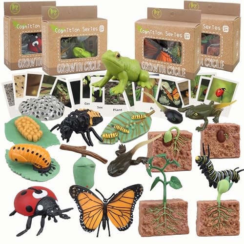 Mbrain Life Cycle Learning & Education Toys Montessori Toys Figurines for Frog Butterfly Ladybug Plants Kit Gift for Girl & Boy for 3 4 5 Year Old