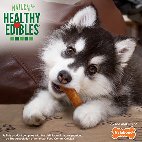 Image of Nylabone Healthy Edibles Puppy Dog Treats, 8 Count