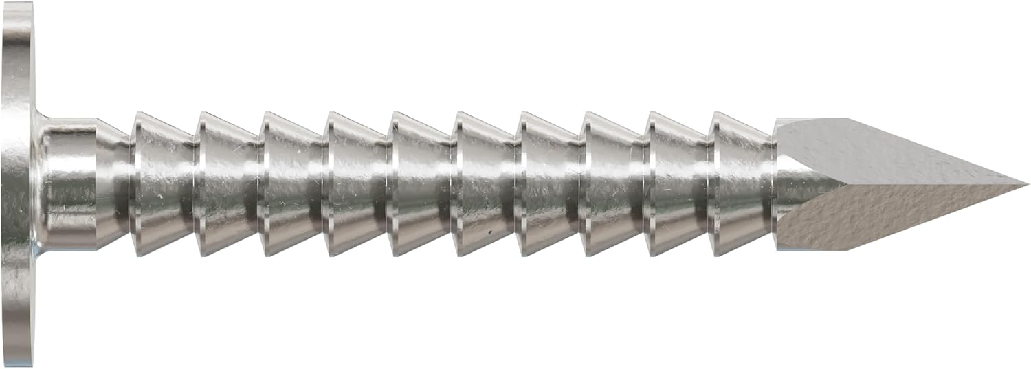 Simpson Strong Tie T210ARN1 2D Roofing Tile and Slating Nails 1-Inch and 10-Gauge, Ring Shank 316 Stainless Steel, 1-Pound, 212 Nails