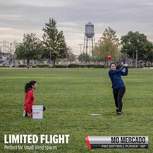 Powernet Training Balls Bundle | 12-12" Softballs + 12 Crushers | Recreation Grade | Perfect For Softball Soft Toss, Batting Or Fielding (Bucket & Balls) #TOP1