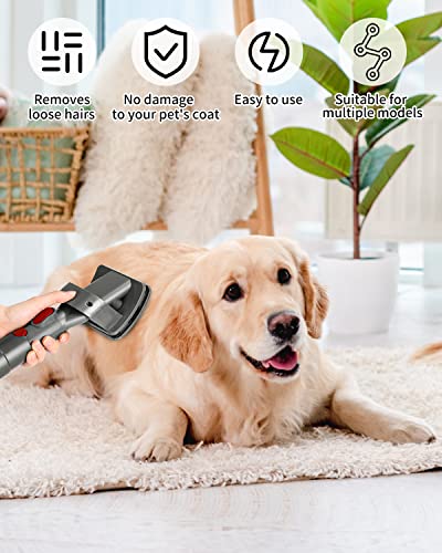 Groom Hundebürste für Dyson Staubsauger Adapter für Dyson V15 V12 V11 V10 V8 V7,Hund Tierhaarbürste Aufsatz mit 1 Verlängerungs Schlauch,1 Adapter,2 Organizer auslösen,2 Bürsten