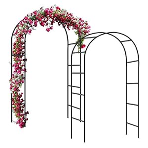 Forever Speed Rozenboog, poortboog, tuin, rankrooster, rozenhulp van gepoedercoat staal, tuindecoratie en versiering…