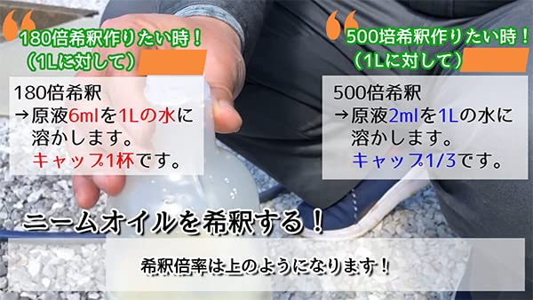 大興貿易 ダイコー 天然植物保護液 ニームオイル (1L)