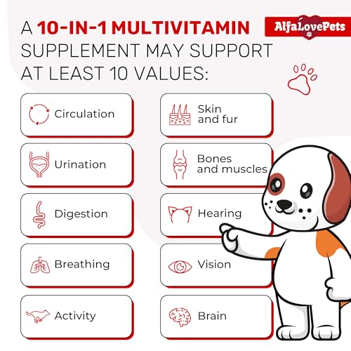 Liquid Multivitamin for Dogs – Cat Multivitamins for Indoor Cats – 10-in-1 Liquid Dog Vitamins B Complex, C, D3 – Digestion, Urination, Hip & Joint, Skin & Coat – Cranberry Flavor – 2 Oz