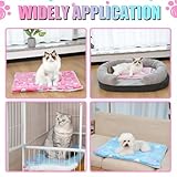 MICOOYO Hundebox Bett Matratze - Fleece Haustier Kissen Bett Matte, Waschbar Katzenkissen Pad für kleine Hunde Katze Welpen (61 * 41cm)