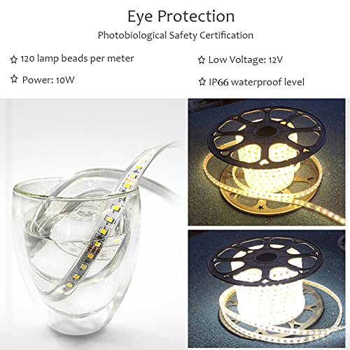 Miroir salle de bain rond LED doré incassable et rétroéclairé