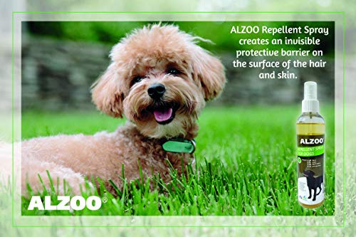 ALZOO Flea and Tick Repellent Spray for Dogs, Effectively Repels Fleas, Ticks & Mosquitos, 100% Plant-Based Active… - Image 4