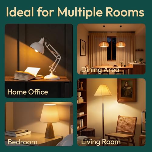 Image of ALAMPEVER 3 Way Light Bulbs 2 Pack, 50 /100 /150W Equivalent, Bright A21 LED Light Bulb, 2700K Soft White, 800 /1600 /2200LM, 5 /9 /15W, E26 Base, Non-Dimmable, Ideal for Living Room, Garage, Basement