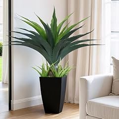 Black Planter