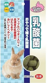 さくさくページ　飲茶うさぎ2点セット Amazon | ハイペット うさぎのおやつ 乳酸菌 85g×6袋 うさぎ