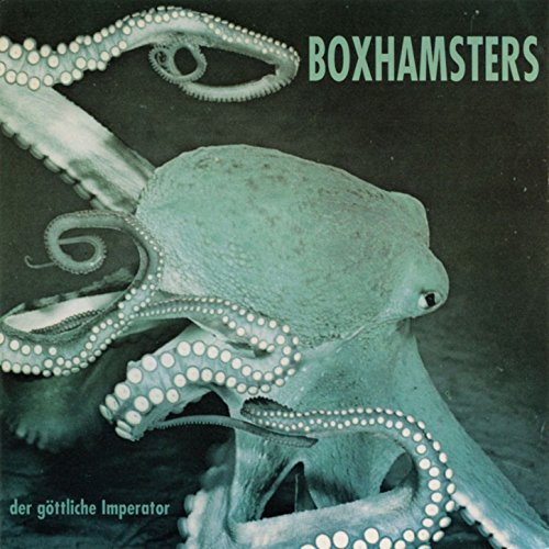Boxhamsters