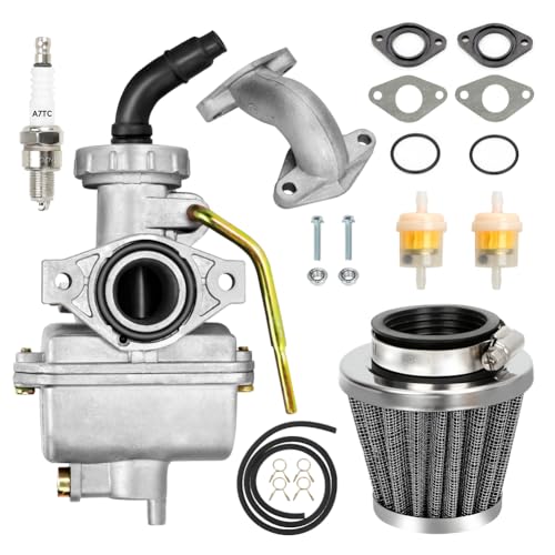 FVRITO PZ20 Carburetor Kit for Taotao Coolster 125cc 110cc...