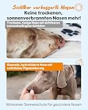 GJYC PET Hundenasen-Sonnenpflegebalsam – Feuchtigkeitsspendender Sonnenschutz mit Sheabutter & Vitamin E – Inkl. UV-Teststreifen – Natürlich & sicher für Sensible Haut