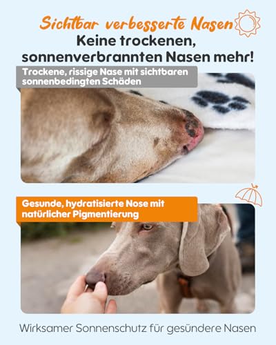 GJYC PET Hundenasen-Sonnenpflegebalsam – Feuchtigkeitsspendender Sonnenschutz mit Sheabutter & Vitamin E – Inkl. UV-Teststreifen – Natürlich & sicher für Sensible Haut