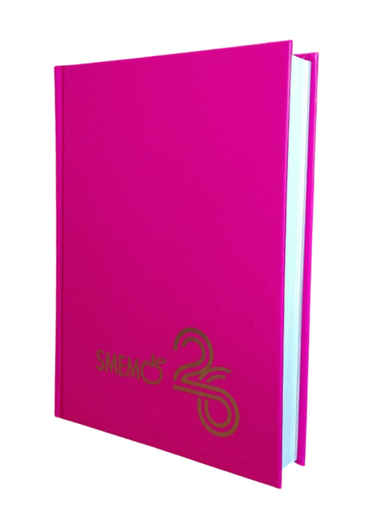  Diario F.to Standard Smemoranda Classic Fuchsia 16 Mesi 2025-2026 Pratico & Leggero con Anello Sequino e Penna MultiCol