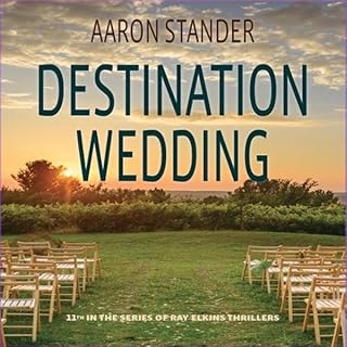 Destination Wedding Audiolibro Por Aaron Stander arte de portada