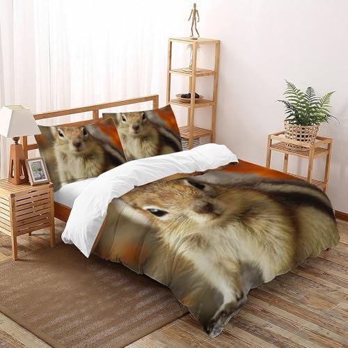 Housse de couette écureuil imprimé 3D en microfibre durable lit king pour chambre garçon - 2
