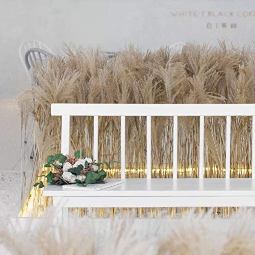 Natural Dried Flowers Bundles - Natural Dried Pampas Grass Brown Bouquet Boho Decoration for Home Decoration, Photo Props - Dried Bunny Tails Pampas for Flower Arrangements Wedding Home Decor (30Pcs)